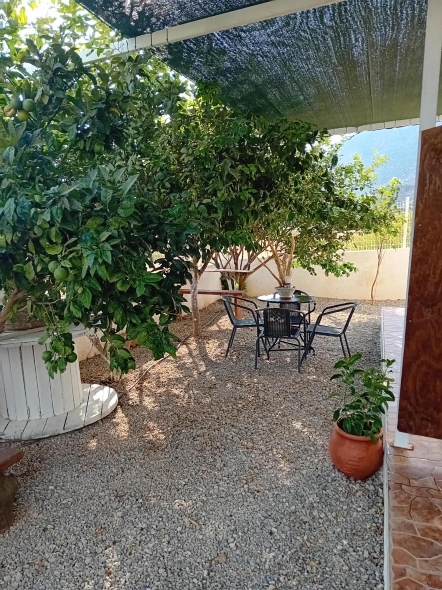 Studios Anna Maria With Sea View Kapetaniana Exterior photo